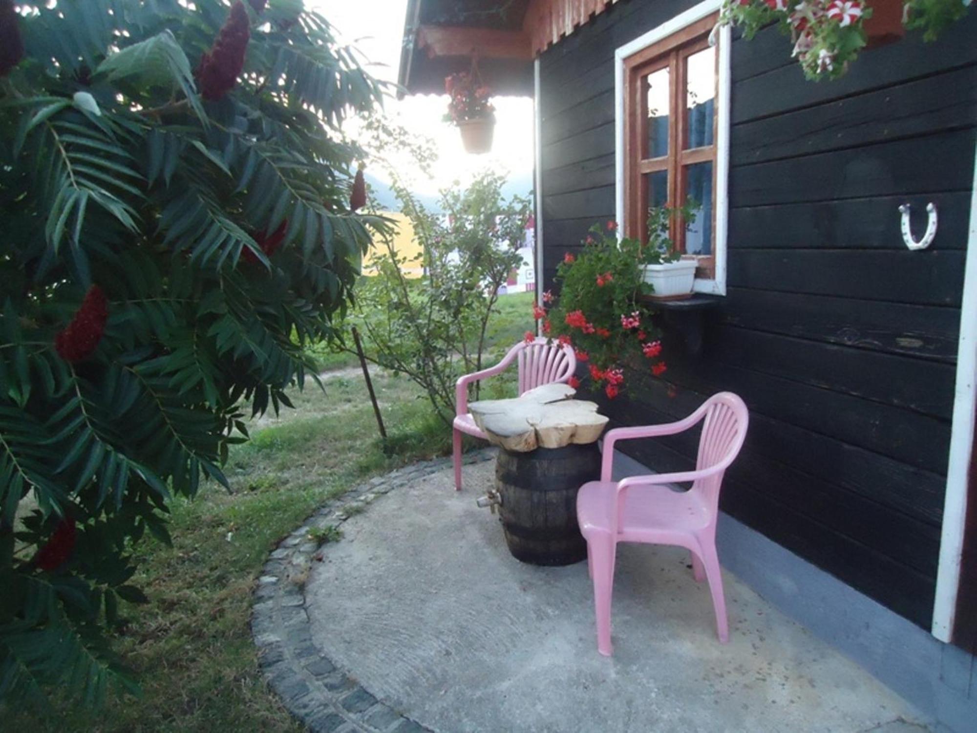 House Ilija Hodak Seliste Dreznicko Δωμάτιο φωτογραφία